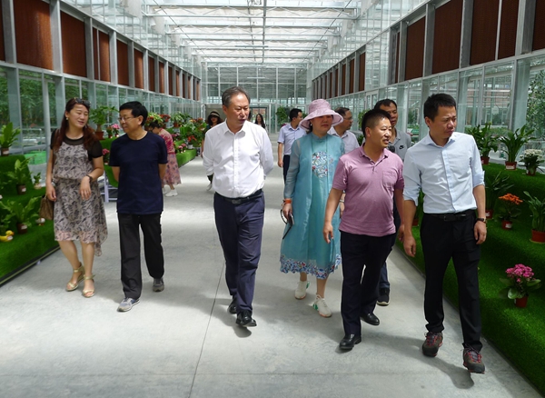 QQ图片20190729170353.jpg